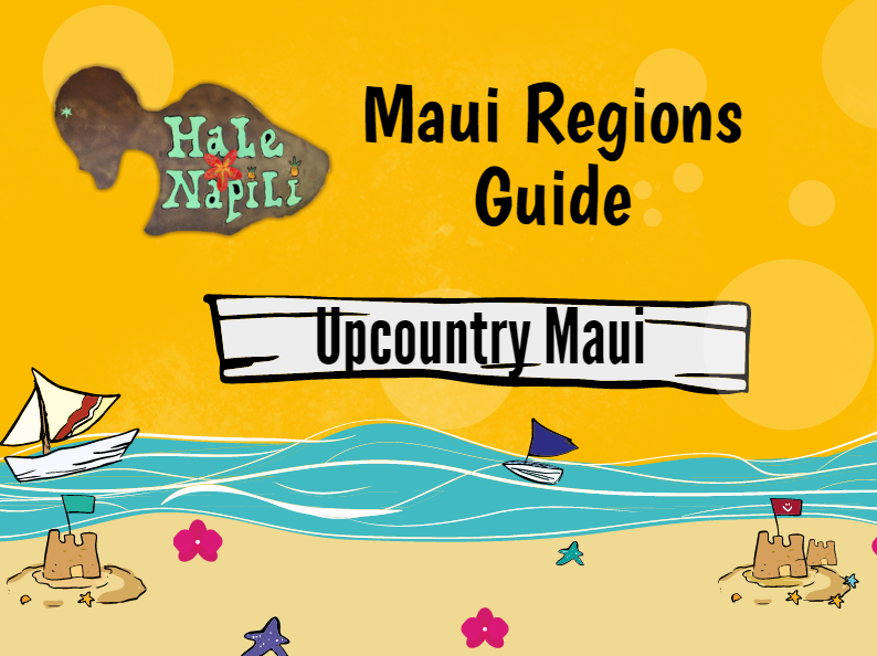 Upcountry Maui Info Graphic